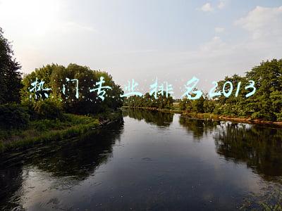 热门专业排名2013