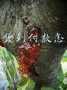 京东货到付款怎么弄
