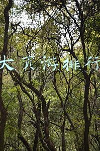 页游排名前十(揭秘！我去玩排名前10的页游，到底哪个最好玩？)