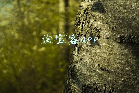 淘宝客app