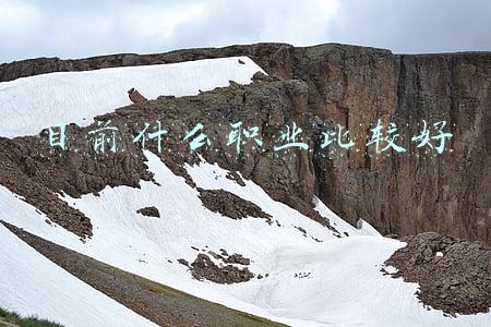 目前什么职业比较好