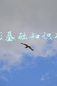 摄影基础知识入门