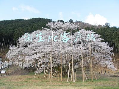淘宝pc客户端