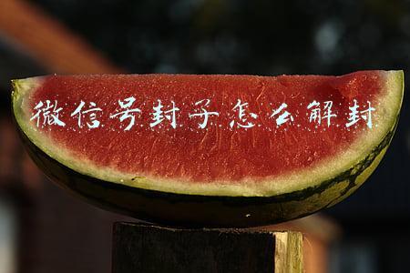 微信号封了怎么解封
