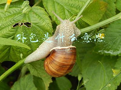 外包公司是什么意思(外包公司和劳务派遣)