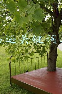 亚马逊关键词工具