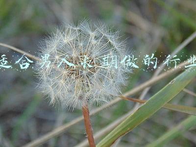 适合男人长期做的行业做什么赚钱有出路(未来五年最适合男人创业的三个生意)