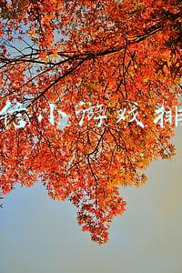 微信小游戏排行