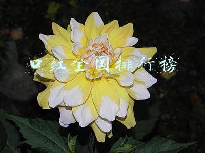 中国口红排行榜(六只国货之光口红排行榜！故宫口红上榜，第一名是国货里销售冠军)