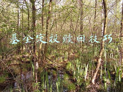 基金定投赎回技巧一次性(阿牛智投退费退款技巧：基金定投什么时候赎回比较好？)