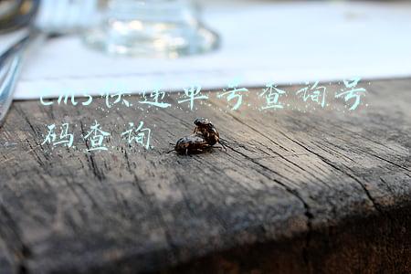 ems快递单号查询号码查询