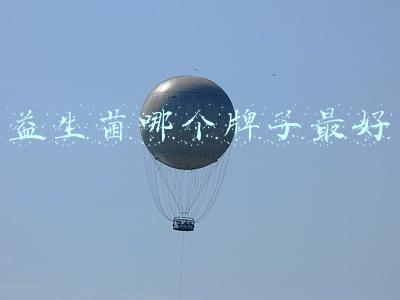益生菌哪个牌子最好