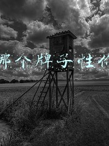 女包哪个牌子性价比高