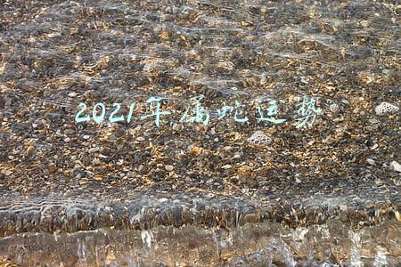 2021年属蛇运势
