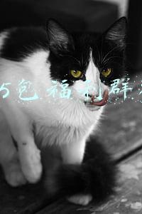 微信福利群群规(社群规则怎么定？)