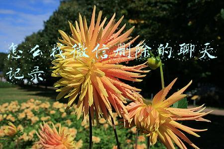 怎么找微信删除的聊天记录