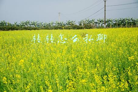 转转怎么私聊