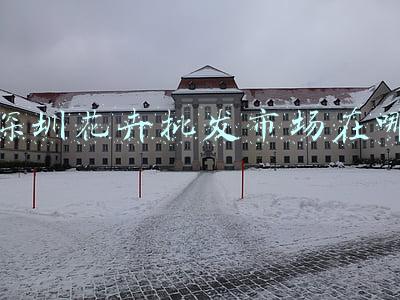 深圳花卉批发市场在哪