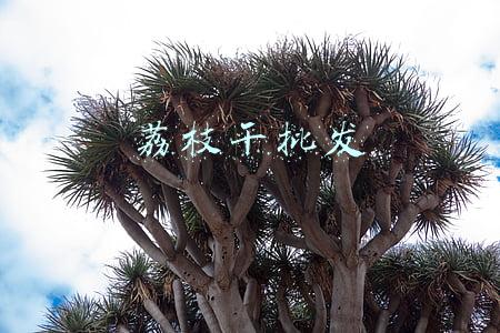 荔枝干批发