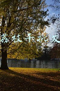 荔枝干批发
