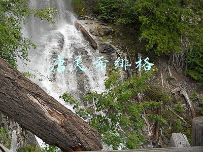 唐美希绯格