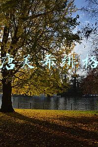 唐美希绯格
