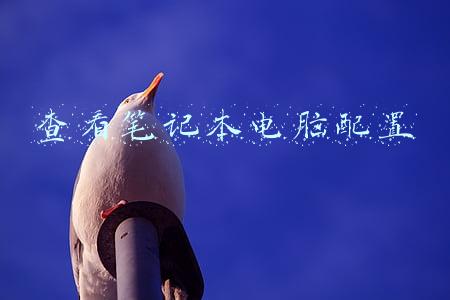 查看笔记本电脑配置