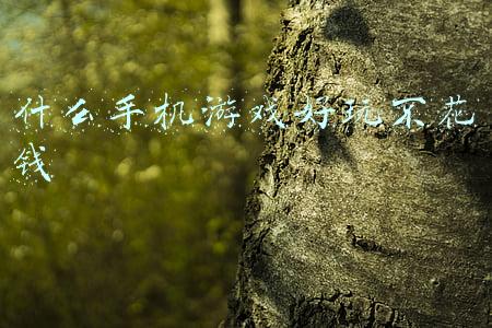 什么手机游戏好玩不花钱