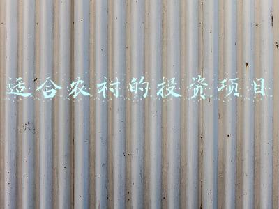 适合农村的投资项目