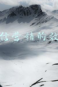 微信营销的效果