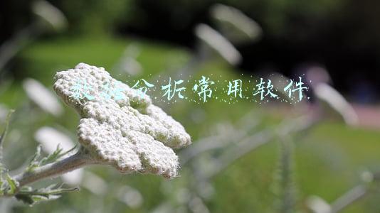 数据分析常用软件