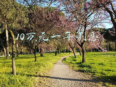 10万元一年利息 10万元一年利息