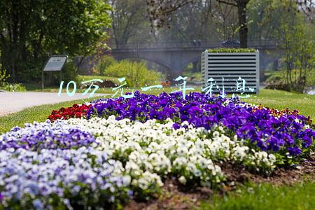 10万元一年利息