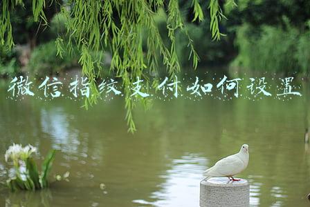 微信指纹支付如何设置