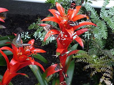 眼镜店怎么开 眼镜店怎么开