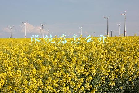 眼镜店怎么开 眼镜店怎么开