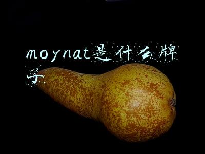 moynat是什么牌子