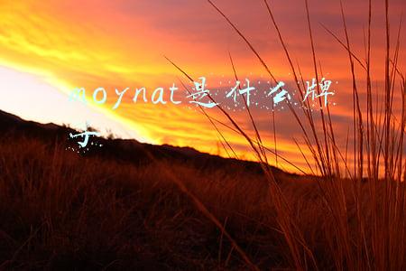 moynat是什么牌子