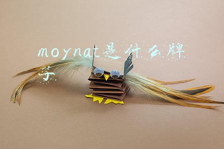 moynat是什么牌子
