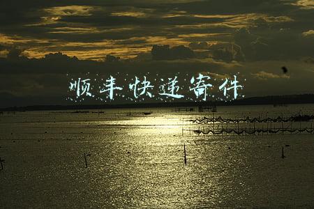 顺丰快递寄件下单(寄件选“签收确认”加一元钱？顺丰速运多收费被质疑 公司回应：系快递行业通行做法)