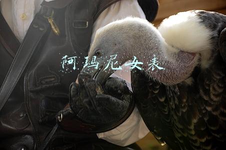 阿玛尼女表 阿玛尼女表