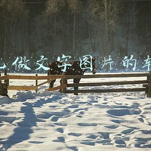自己做文字图片的软件