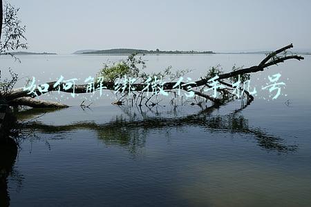 腾讯如何解绑微信手机号(微信发布，对此行为封禁、冻结)