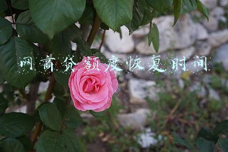 网商贷额度恢复时间