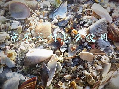 京东闪付怎么使用