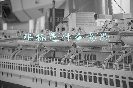 非标是什么意思