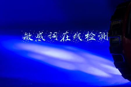 敏感词在线检测
