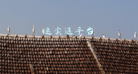 速卖通平台 速卖通平台