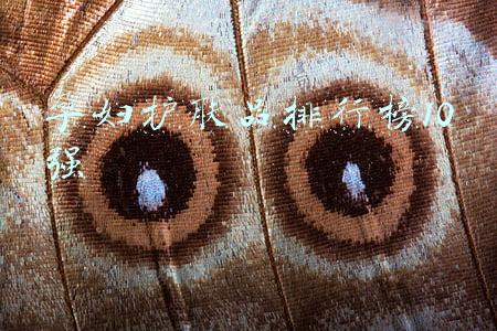 孕妇护肤品排行榜10强