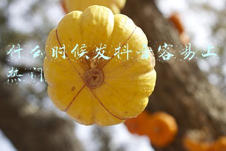 什么时候发抖音容易上热门